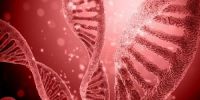 科学家研究DNA对进化的影响 丧失DNA同样是进化标志