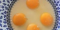 英国一主妇发现 罕见巨蛋内含4个蛋黄