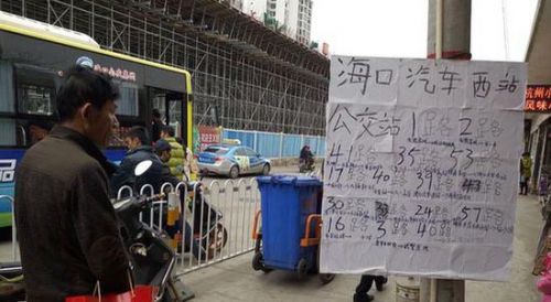 海口现纸糊公交站牌 网友:"真是看醉了"