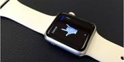 苹果联合创始人批评Apple Watch不实用！你怎么看？