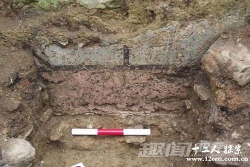 枚姓人口_人口普查(2)