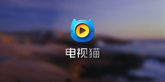 乐视vs电视猫  乐视完胜