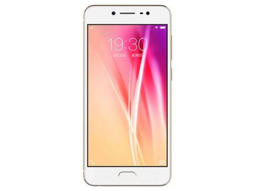 vivo X7