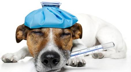 让充电不再发热 华为mate 9 要做"冷"美人