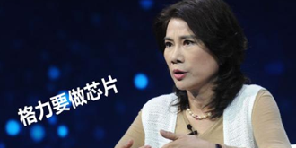 格力能否撑起董明珠的野心？芯片汽车一个都不能少！