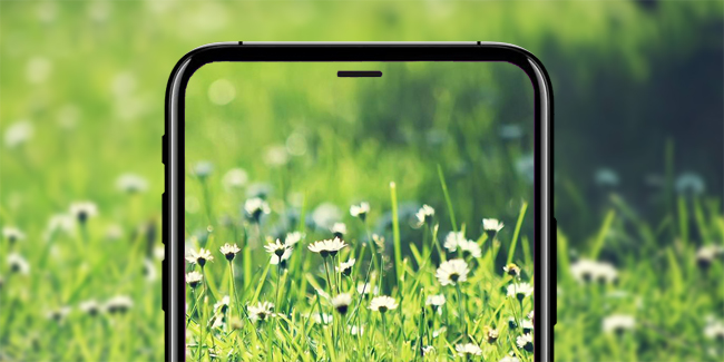 进一步了解iPhone8：内部结构示意图曝光，iPhone8或有双电池