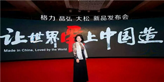 格力的多元化战略从一开始就失败了？