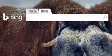 微软在中国区发布Bing国际版，集成AI小冰赋能英文搜索！