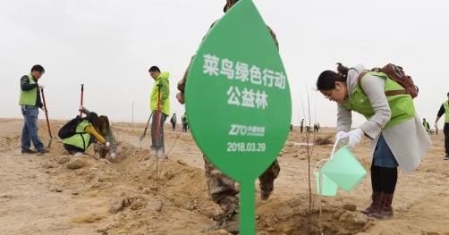 菜鸟绿色行动造福敦煌：种树1000亩，市民快递袋管一年