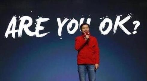 劳模雷军辞任小米支付法人代表，小米IPO盛宴将至？