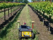 机器人帮助灌溉葡萄？加利福尼亚州或将实现