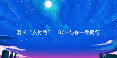 漫长“支付路”，BCH与你一路同行