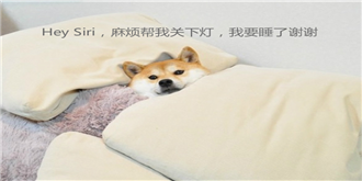 说好的智能家居入口呢？智能音箱也开始不务正业？