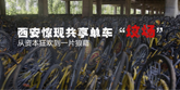 西安惊现共享单车“坟场”：从资本狂欢到一片狼藉