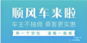 高德地图谈下线顺风车业务：安全考虑 无关滴滴事件
