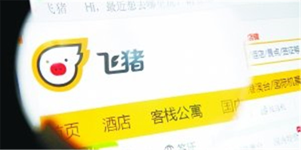 飞猪平台又出现问题！订机票却发现机场无此航班