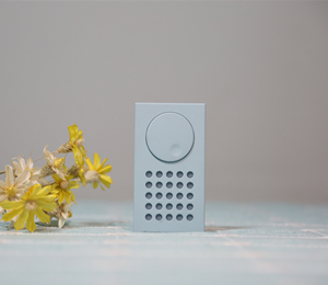 坚果砖式蓝牙小音箱：极简设计+经典元素 普通却又不平凡