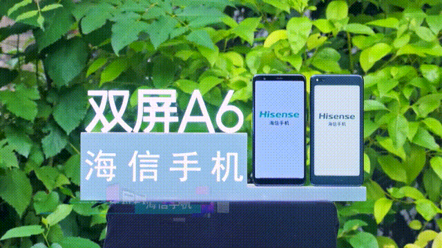 图片4