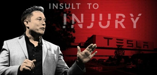 162fd38976754a3fe6b13513.jpg!custom660