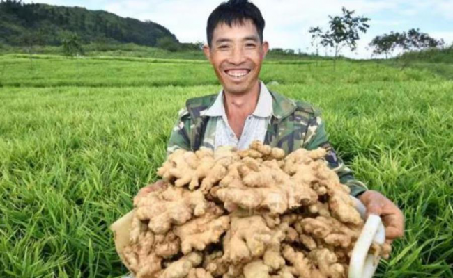 1545005332337024.png 图片2.png