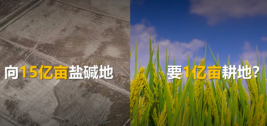 华为袁隆平打造农业沃土平台 加速推动智慧农业4.0发展