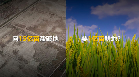 华为与袁隆平合作 加速推动智慧农业4.0发展(图1)