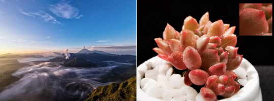 错过P30系列发布会直播?没关系,华为视频给你安排好了