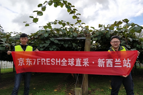 奇异果体育佳沛新西兰奇异果首单产生 被京东7FRESH客户斩获(图3)