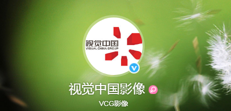 视觉中国官网恢复上线运营，开盘涨近8%