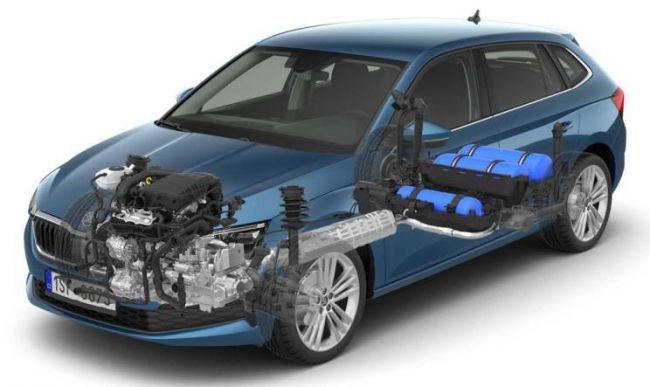 005M94J9ly4g4ffo7i6qbj30ko0fidgp