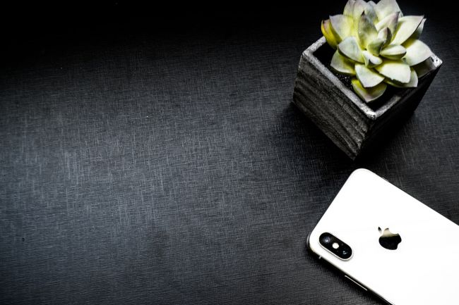 apple-background-black-background-1069798.jpg