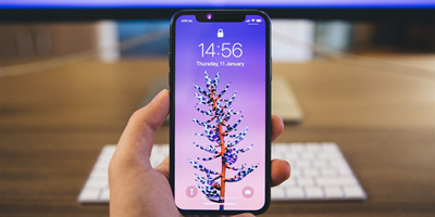 苹果高管称iPhone暂不考虑升降镜头，Face ID将登陆更多设备