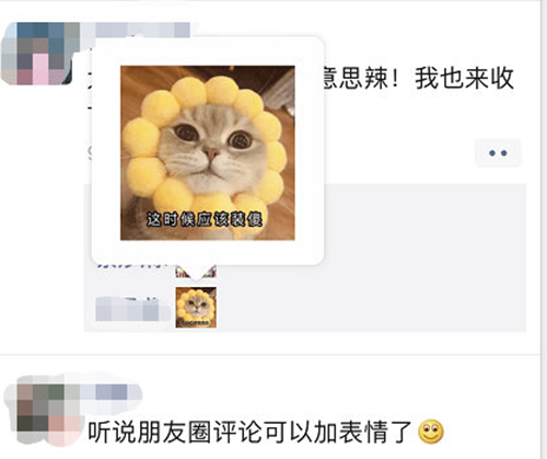 图片1_副本