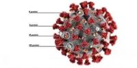 瑞士科研团队利用基因序列和酵母菌人工合成活的新冠病毒