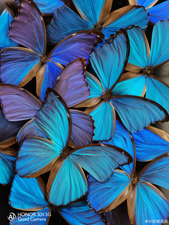 78ce29d3ly1gd60ua2tfqj25c0740x73