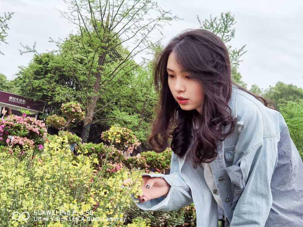 约拍植物园
