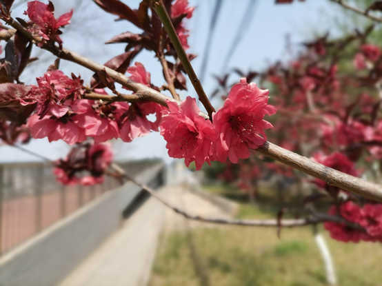 1587044464681078636.png image.png