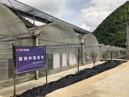 1590074221911677.png 图片10.png