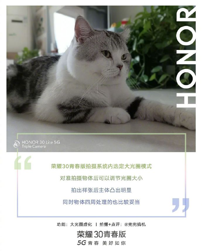 图片15