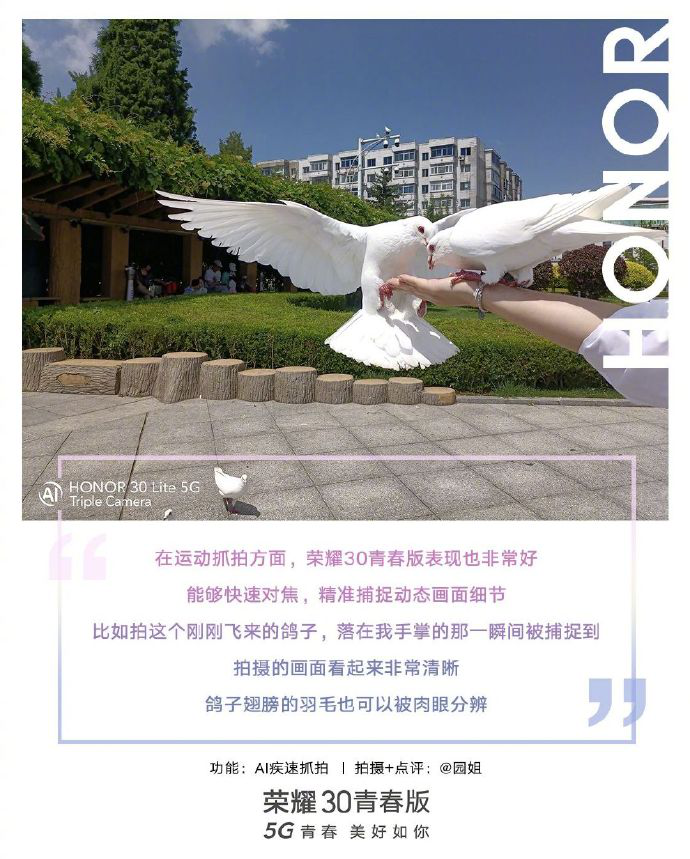 图片20