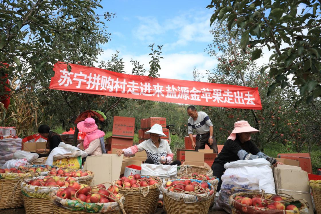 苏宁发布战汛六条，以旧换新补贴超1亿