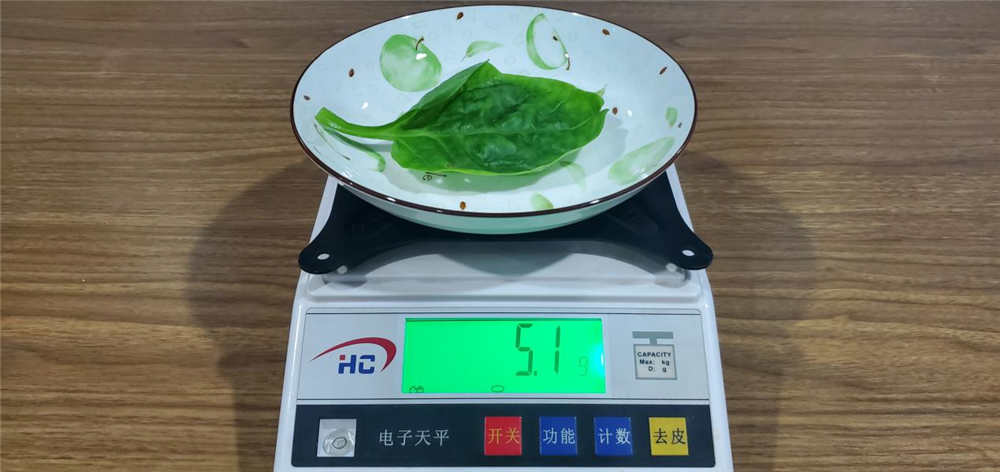 美的606升冰箱体验:有它终于摆脱了面条 美的606升冰箱体验:有它终于摆脱了面条