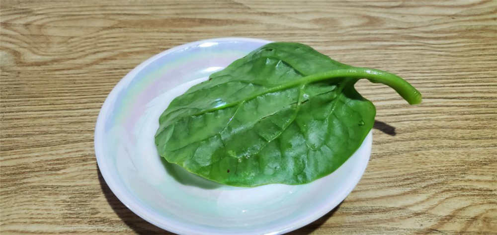 美的606升冰箱体验:有它终于摆脱了面条 美的606升冰箱体验:有它终于摆脱了面条