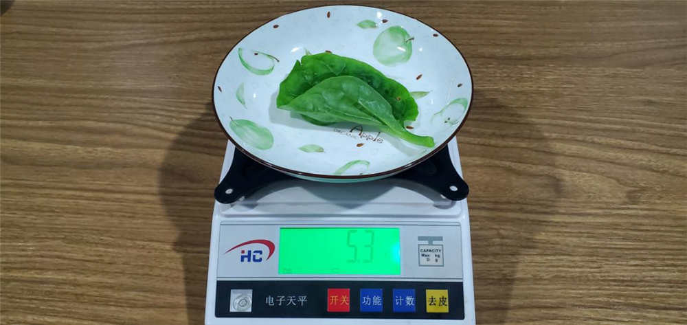 美的606升冰箱体验:有它终于摆脱了面条 美的606升冰箱体验:有它终于摆脱了面条