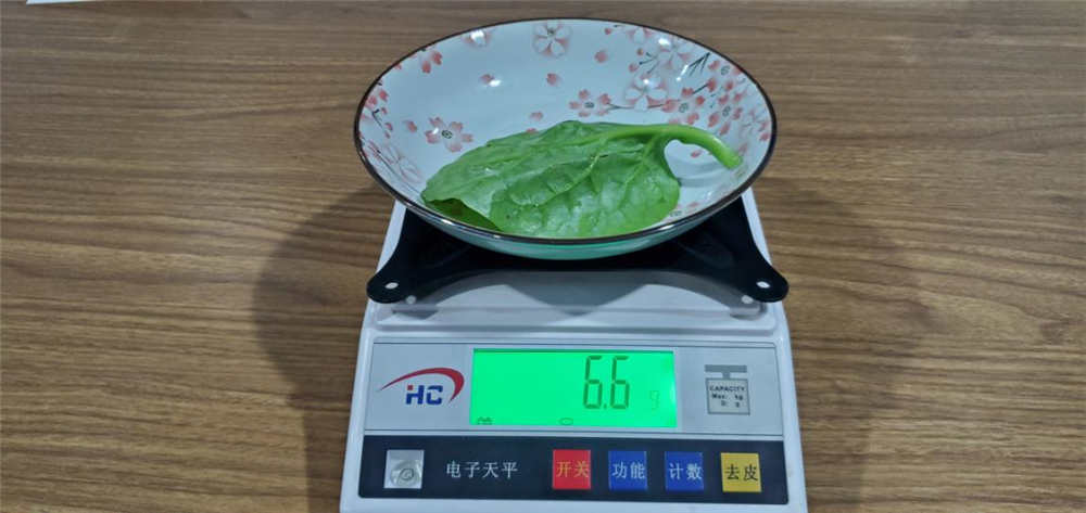 美的606升冰箱体验:有它终于摆脱了面条 美的606升冰箱体验:有它终于摆脱了面条
