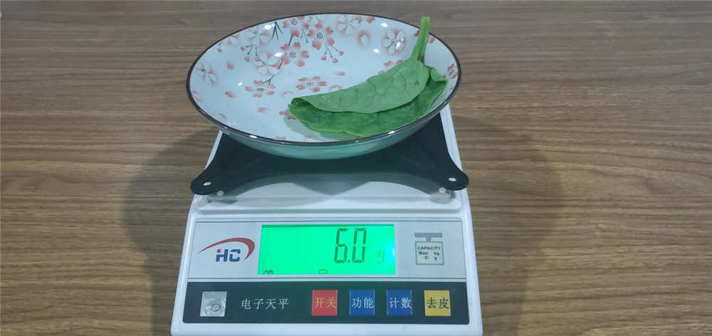 美的606升冰箱体验:有它终于摆脱了面条 美的606升冰箱体验:有它终于摆脱了面条