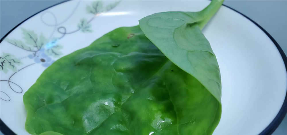 美的606升冰箱体验:有它终于摆脱了面条 美的606升冰箱体验:有它终于摆脱了面条