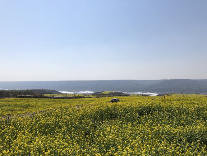 文化和旅游部推出300条乡村旅游精品线路