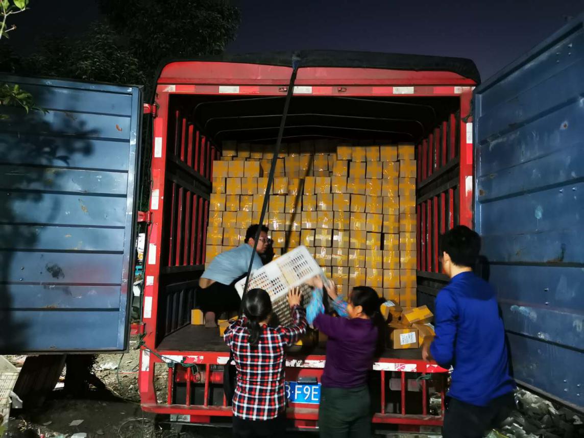 双十一拼购村再扩容 年底达100家