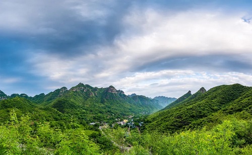 1605682358587099269.jpg 图片6.jpg
